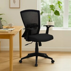 Nilkamal Victory Mid Back Office Mesh Office Chair (Black/Black)