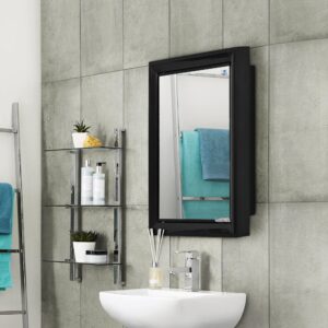 Nilkamal Gem Plastic Cabinet with Mirror (Black)