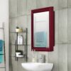 Nilkamal Gem Plastic Cabinet with Mirror (Maroon) 1