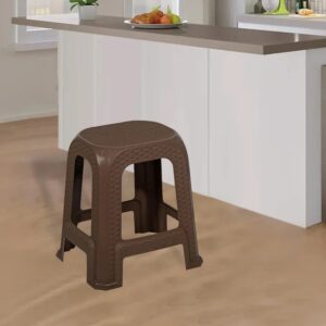 Nilkamal STL26 Plastic Stool (Season Rust Brown)
