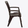 Nilkamal Heritage Plastic Arm Chair (Weather Brown) 7