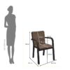 Nilkamal Luxe Full-Back Cushioned Plastic Chair (Season Rust Brown & Dark Beige) 9