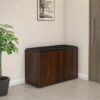 Nilkamal Metro 2 Door Engineered Wood Shoe Cabinet (Walnut) 1