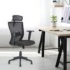 Nilkamal Hexon High Back Mesh with Adjustable Arm Chair (Black) 1