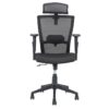 Nilkamal Hexon High Back Mesh with Adjustable Arm Chair (Black) 2