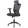 Nilkamal Hexon High Back Mesh with Adjustable Arm Chair (Black) 4