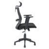 Nilkamal Hexon High Back Mesh with Adjustable Arm Chair (Black) 5