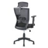 Nilkamal Hexon High Back Mesh with Adjustable Arm Chair (Black) 6