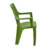 Nilkamal Elevate Plastic Arm Chair (Lush Green) 5