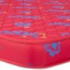 Nilkamal Trendzzz Foam Mattress 5
